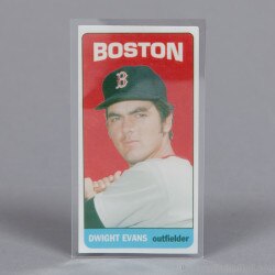TALL CARD Sleeves - Polyester (Myla